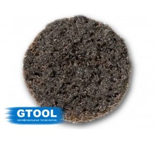 Шлифовальный круг GTOOL Roloc, d25мм, зерно A CRS (Р60-80)