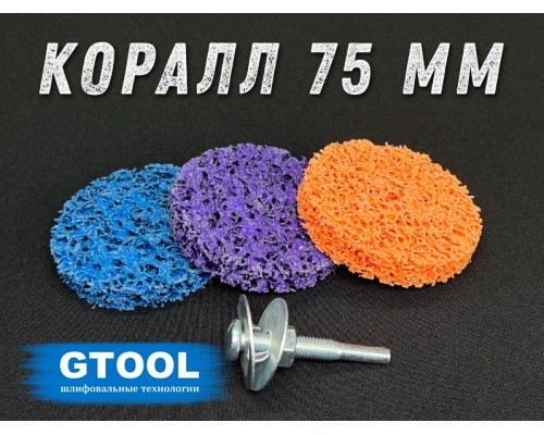 Набор для очистки краски и ржавчины GTOOL, d75мм